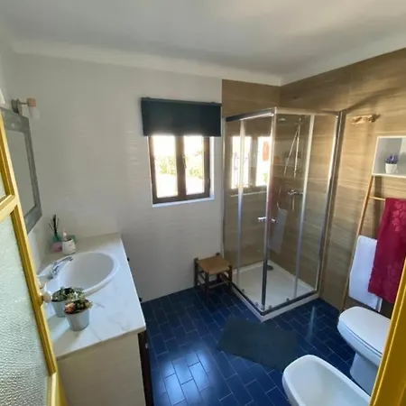 Buganvilla Alentejo São Francisco da Serra Buitenkant foto