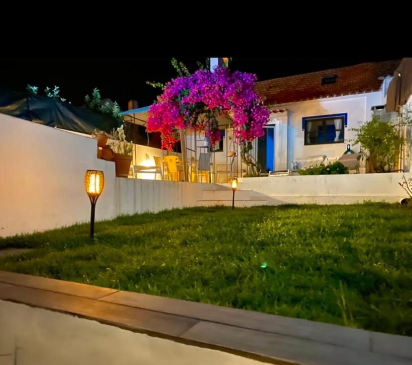 Ferienhaus Buganvilla Alentejo