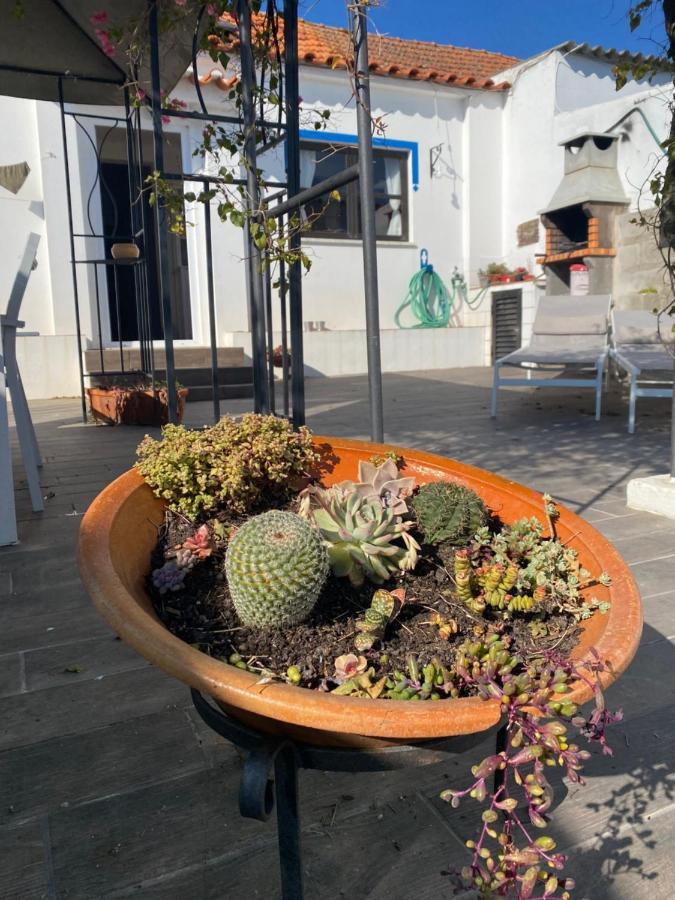 Hébergement de vacances Buganvilla Alentejo
